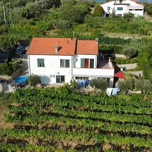  Couette-café In Vino Veritas